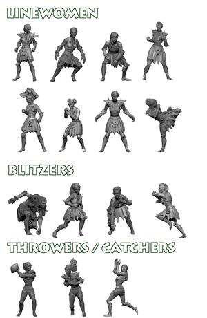 Bremusa's Blitz - Amazon / Human Blood Bowl team (15 positionals)