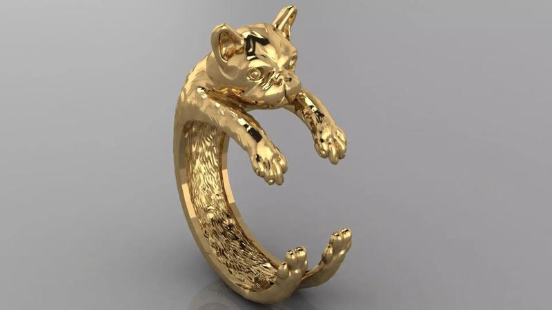 dog ring