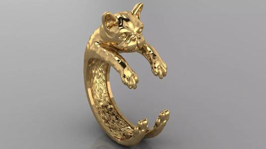 dog ring