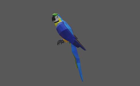 Parrot - Low Poly