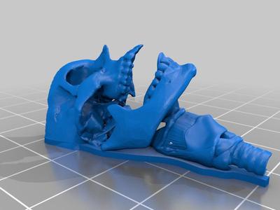 Human Oropharynx Model