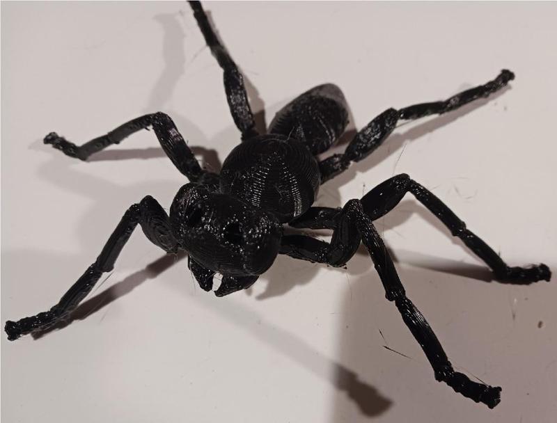 Gigantic ANT Attacks Downtown