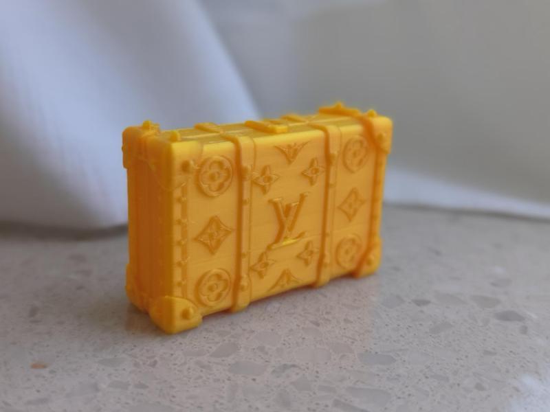 Tiny LOUIS VUITTON Case