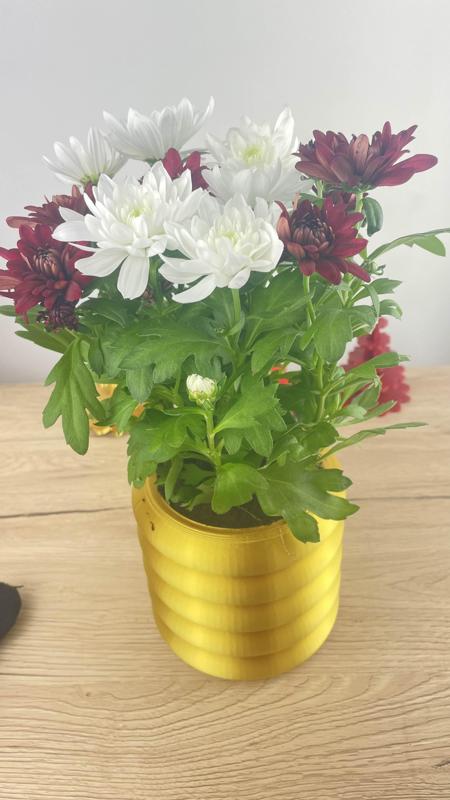 Bubble Planter Pot