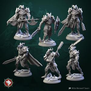 Dragonborn knights 6 miniatures set 32 mm pre-supported