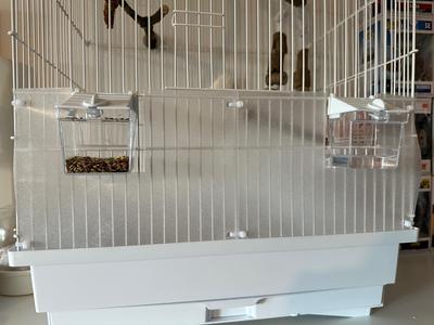 BIRD JEWEL K2 White front cover