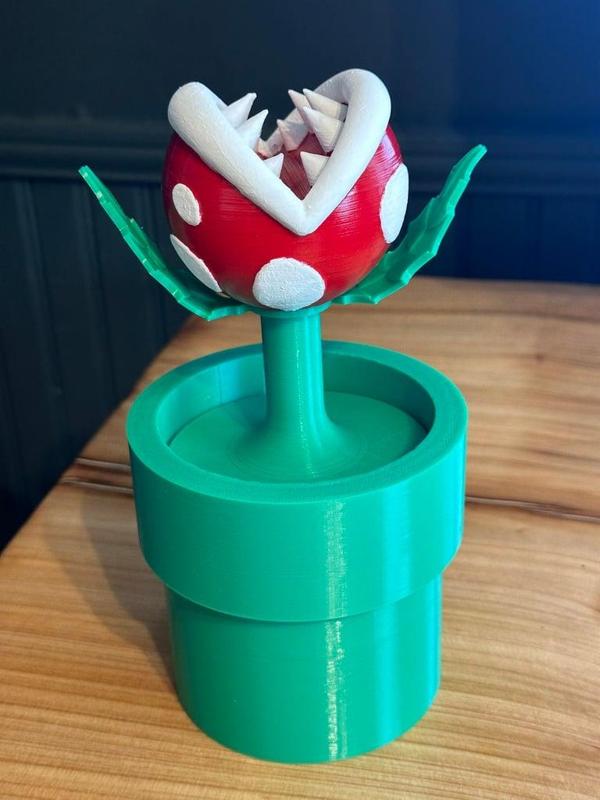 Piranha Plant Spinning Switch Game Case