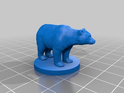 black bear