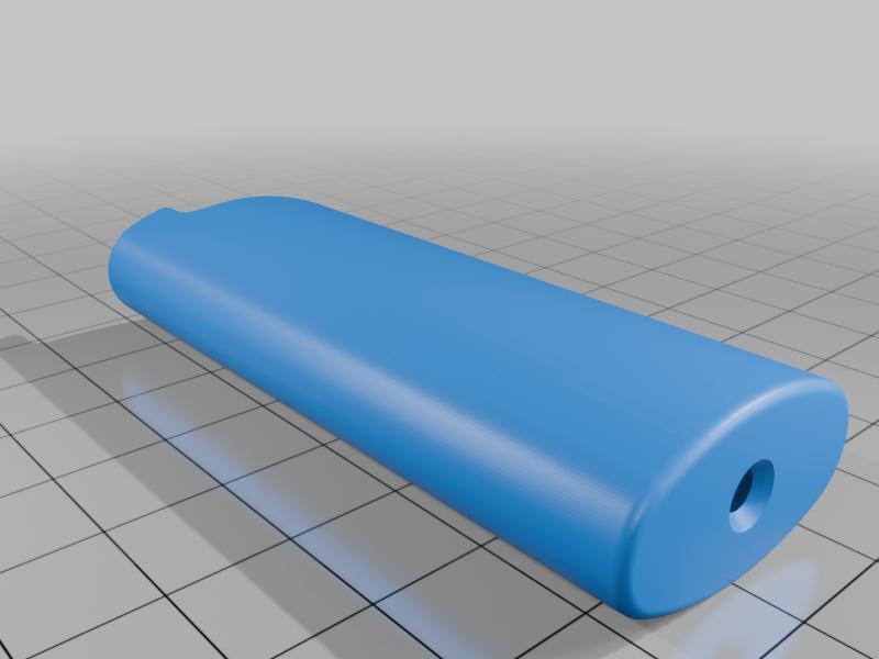 BIC Lighter Case (stl)