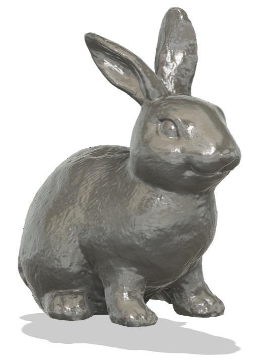 Bunny, Rabbit, Cottontail, Cony, Hare, Jackrabbit