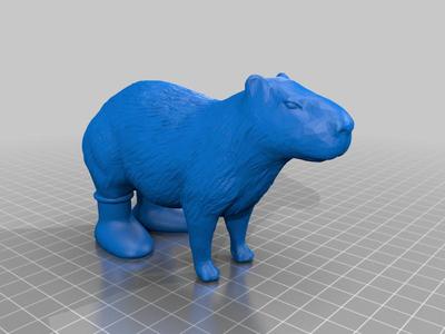 Capybara (MSCHF boots)