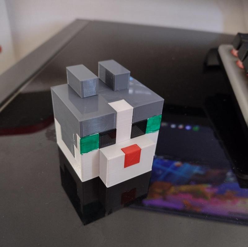 Minecraft cat head