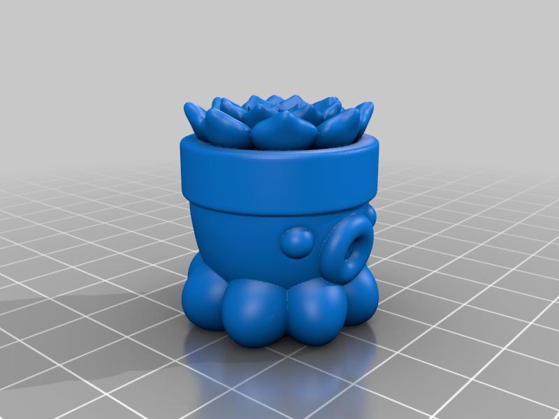 Octopus Succulent No. 2