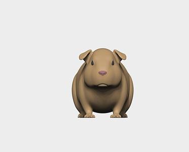 guinea_pig