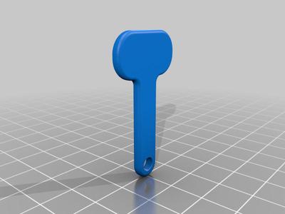 Removable Trolley Token UK