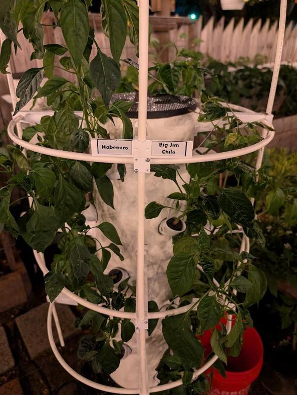 Modular Hydroponic Tower Trellis System (1/4" PEX Frame Mounts)