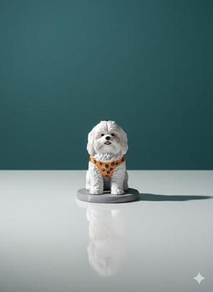 Poodle dog figure with clothes