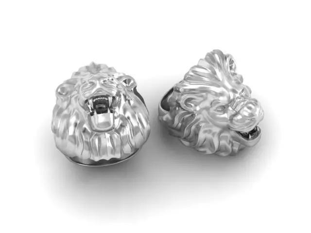 The Ring of the Lion