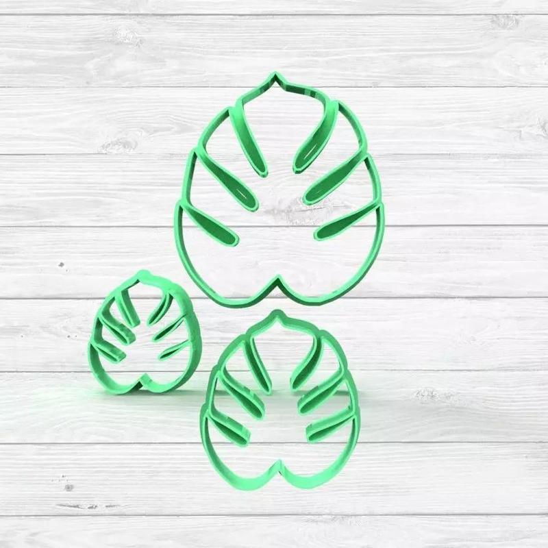 Pack Monstera 2 4 6 8cm Cutter