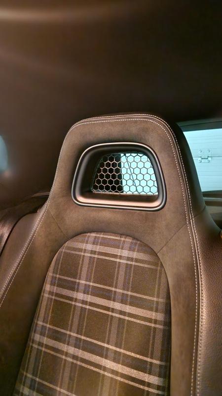 VW scirocco rear headrest inserts