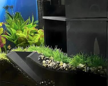 Tunnel for fish 17 - aquarium - fish tank