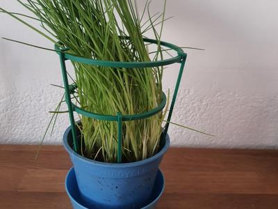 Herb support rings