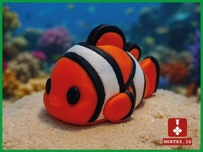 Small Clown Fish sea buddy