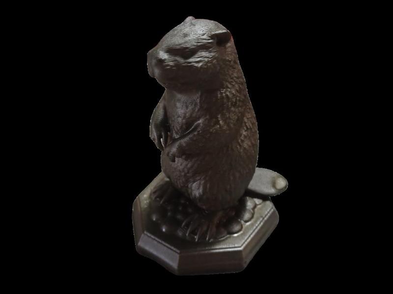 Beaver standing on rocks 