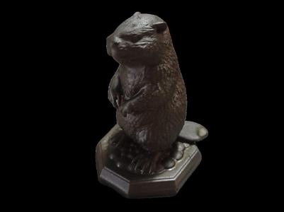 Beaver standing on rocks 