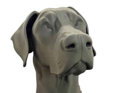 Dobermann Bust (uncropped natural ears)