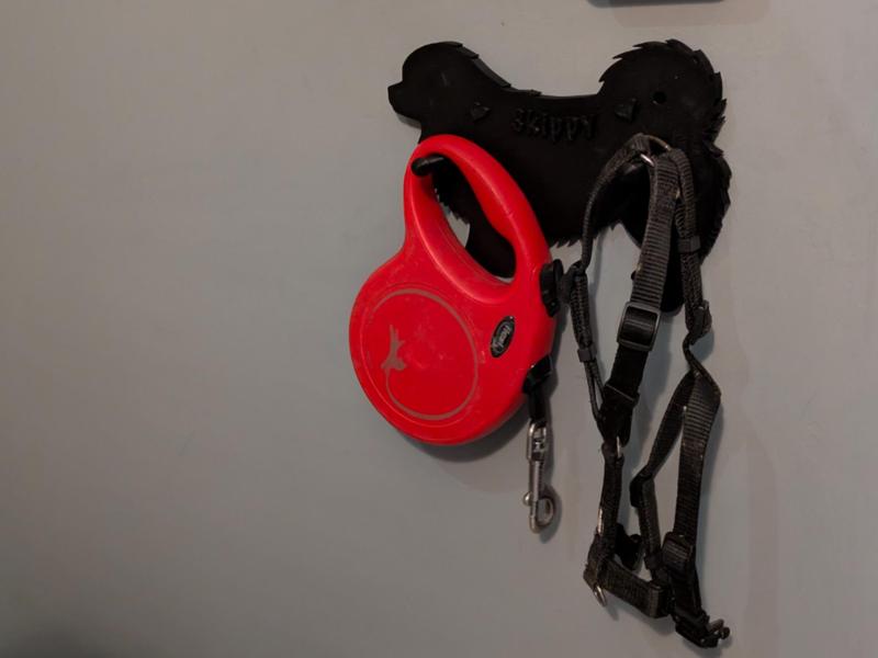 Dog leash & harness holder (tibetan spaniel)