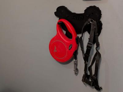Dog leash & harness holder (tibetan spaniel)