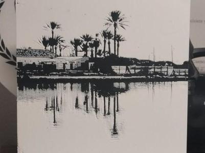 Hueforge reflection palm trees black and white