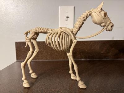 Skeleton Steed - Halloween Horse Decoration