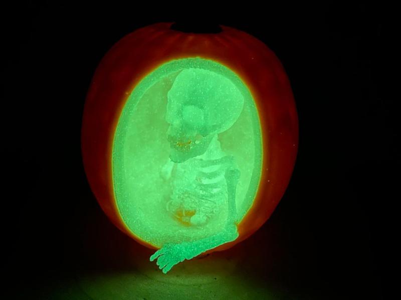 Pumpkin Skelett