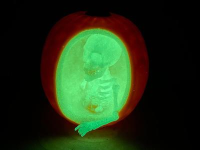 Pumpkin Skelett