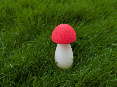 cute small mushroom with small cap