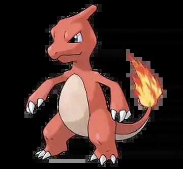 Pokemon Charmeleon