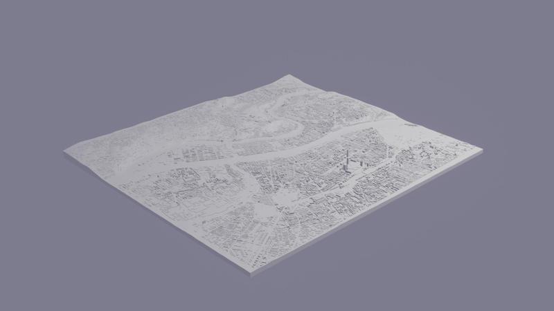 Lyon city relief map