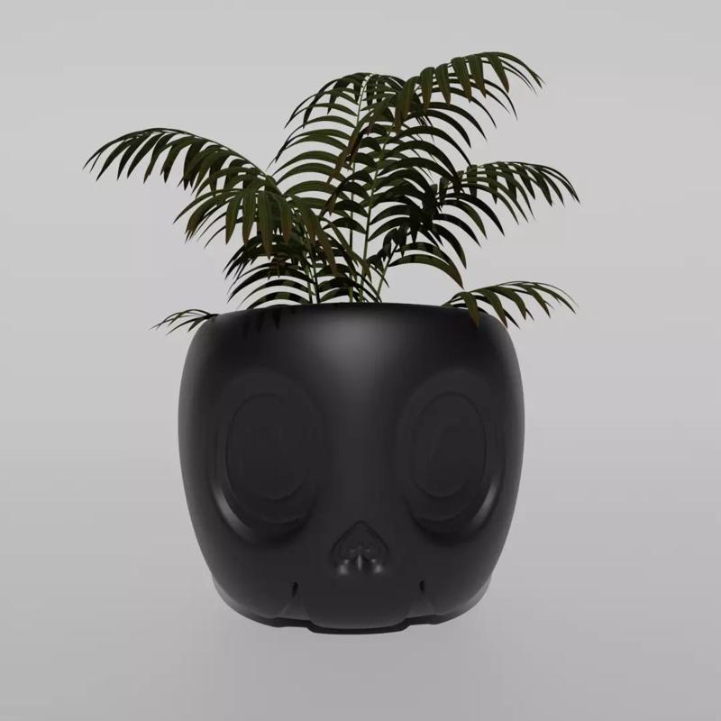 Pot Skull