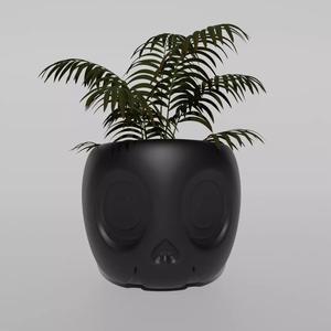 Pot Skull