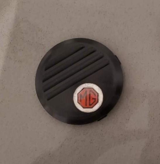 Formuling Steering Wheel Center Piece