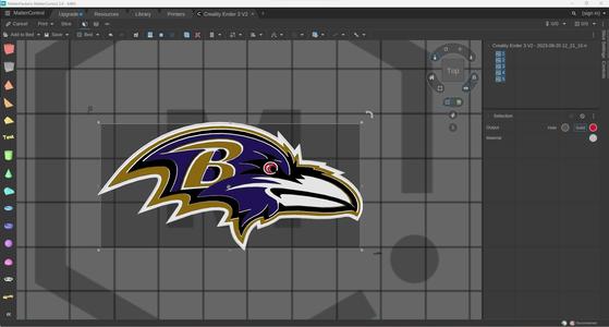 Baltimore Ravens Logo