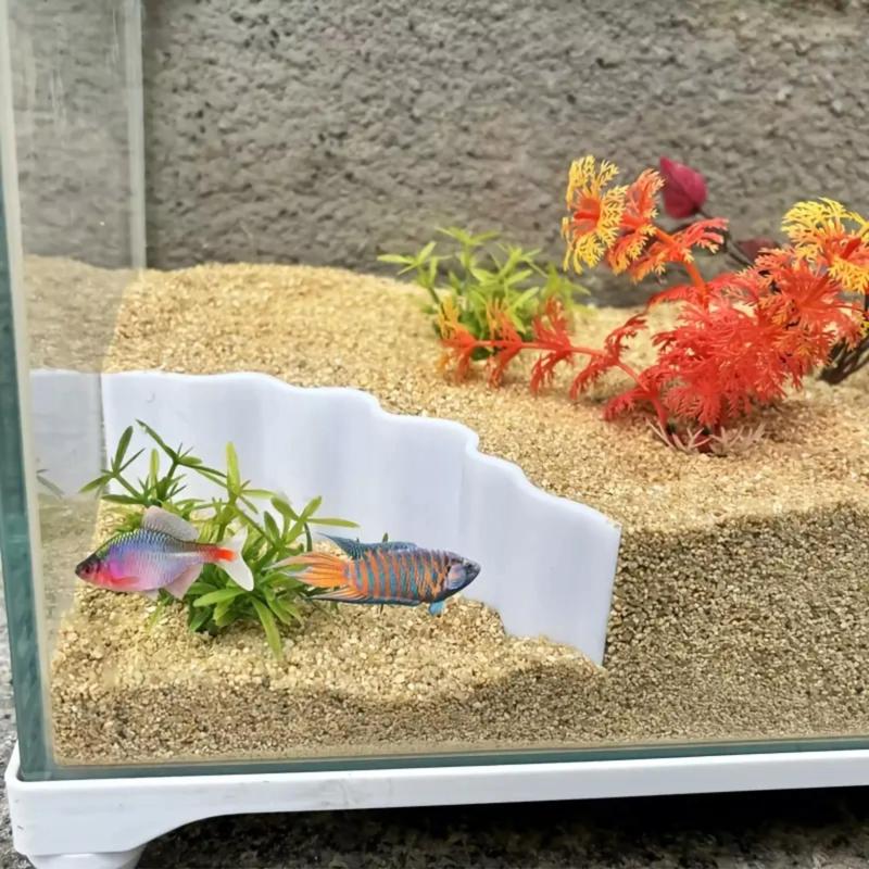 Barrera 1 - para acuario