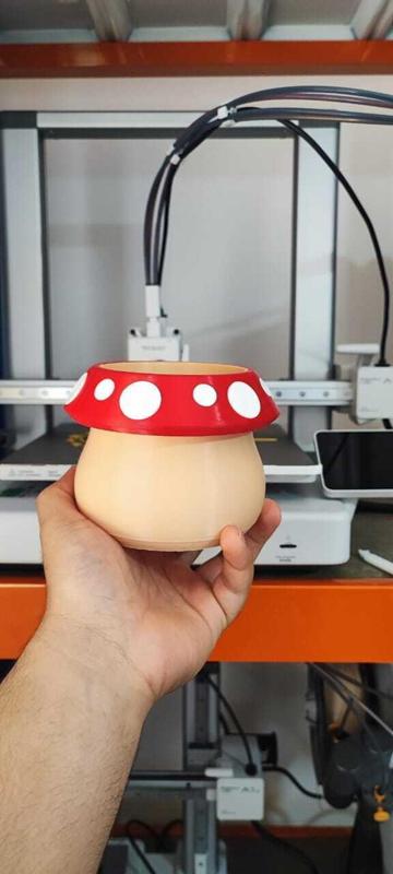 Mushroom Pot