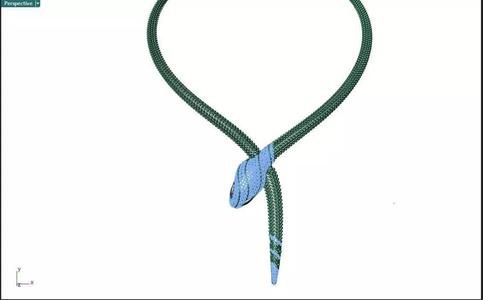 Necklaces Snake and ring Snake