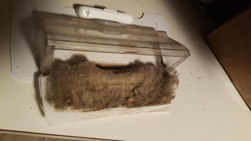 Neato Botvac Toilet Paper Filter