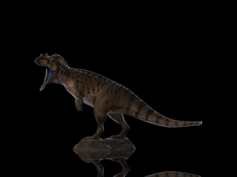 Ceratosaurus nasicornis