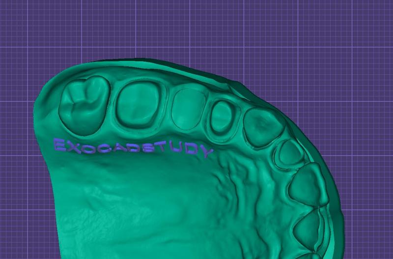 Dental Model for Training