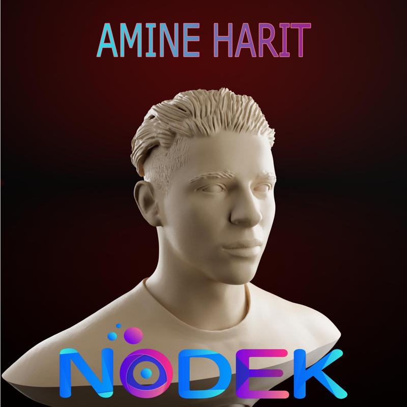 Amine Harit Bust